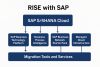 What is RISE with SAP – And Why It Matters